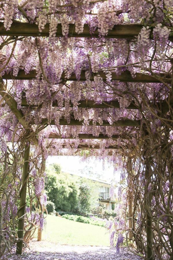 جبل تامبورين Flower Farm Tamborine Mountain المظهر الخارجي الصورة